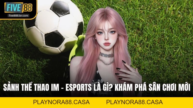 Sảnh Thể Thao K - Sports - Hàng Ngàn Trận Đấu Hấp Dẫn