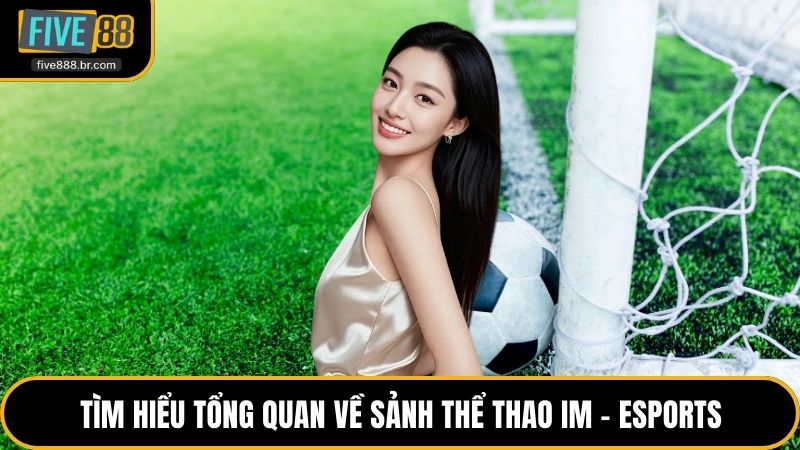Sảnh thể thao IM - eSports Là Gì? Khám Phá Sân Chơi Mới